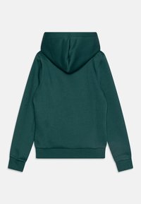 Felpa con cappuccio verde scuro a maniche lunghe con polsini e orlo a costine, mostrata da dietro su uno sfondo bianco semplice.