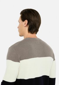 Maglione lavorato a maglia con strisce orizzontali in taupe, bianco e blu navy. Collo rotondo e tessuto strutturato, che mostra un design casual.