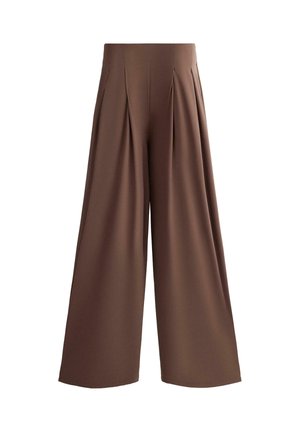 High-waisted wide-leg brown pants with front pleats and a smooth, flowy fabric, displayed against a white background.