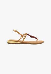 Non sélectionné, cuero