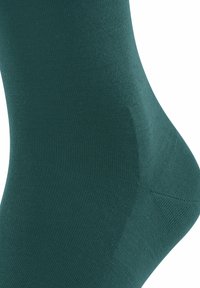FALKE CLIMA  - Socken - mulberry