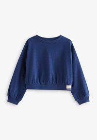 Next VARSITY GRAPHIC 3 PACK - Bluză de molton - pink blue