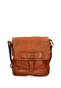 Borsa a messaggero in pelle marrone con chiusura a patta, tracolla regolabile, logo in rilievo e particolari in metallo sulla parte anteriore.
