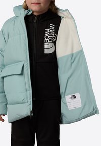 The North Face Zimní kabát - muted pine