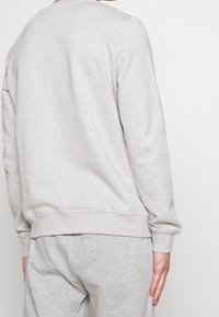 Sudadera gris claro hecha de una tela con una textura suave. Presenta un escote redondo y puños y dobladillo acanalados. Se muestra la vista trasera.