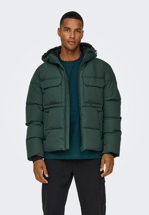 Only & Sons, ONSELIJAH HOOD JACKET - Зимно яке - darkest spruce