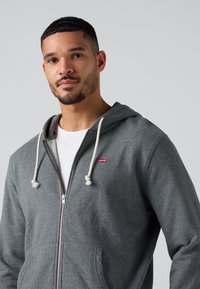 Felpa grigia con zip e coulisse bianche, con un piccolo logo rosso di Levi's nella parte superiore sinistra. Tessuto liscio e tasche frontali.