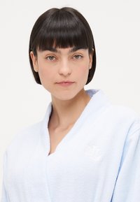 Light blue terrycloth robe features a shawl collar and embroidered "RL" logo on the chest, displaying a soft texture and relaxed fit.