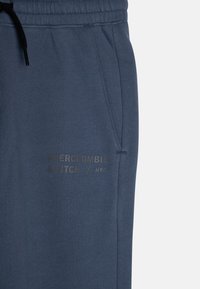 Abercrombie & Fitch MULTI HIT EASY FIT - Jogginghose - blue