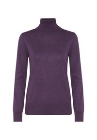 ROLL NECK  - Neule - indigo purple melange