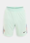FRANCE 2025/26 MATCH AWAY SHORTS - Ένδυση εθνικής ομάδας - igloo/monarch