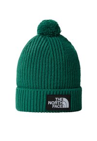 Gorro de punto verde con textura acanalada, que presenta un parche de logo negro y un pompón en la parte superior. Hecho de material suave y cálido.