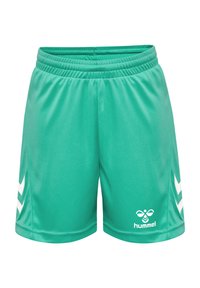 Shorts de sport verts en matériau léger avec une taille élastique. Comprend des motifs en chevron blancs sur les côtés et un logo.