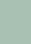 n.33 salvia
