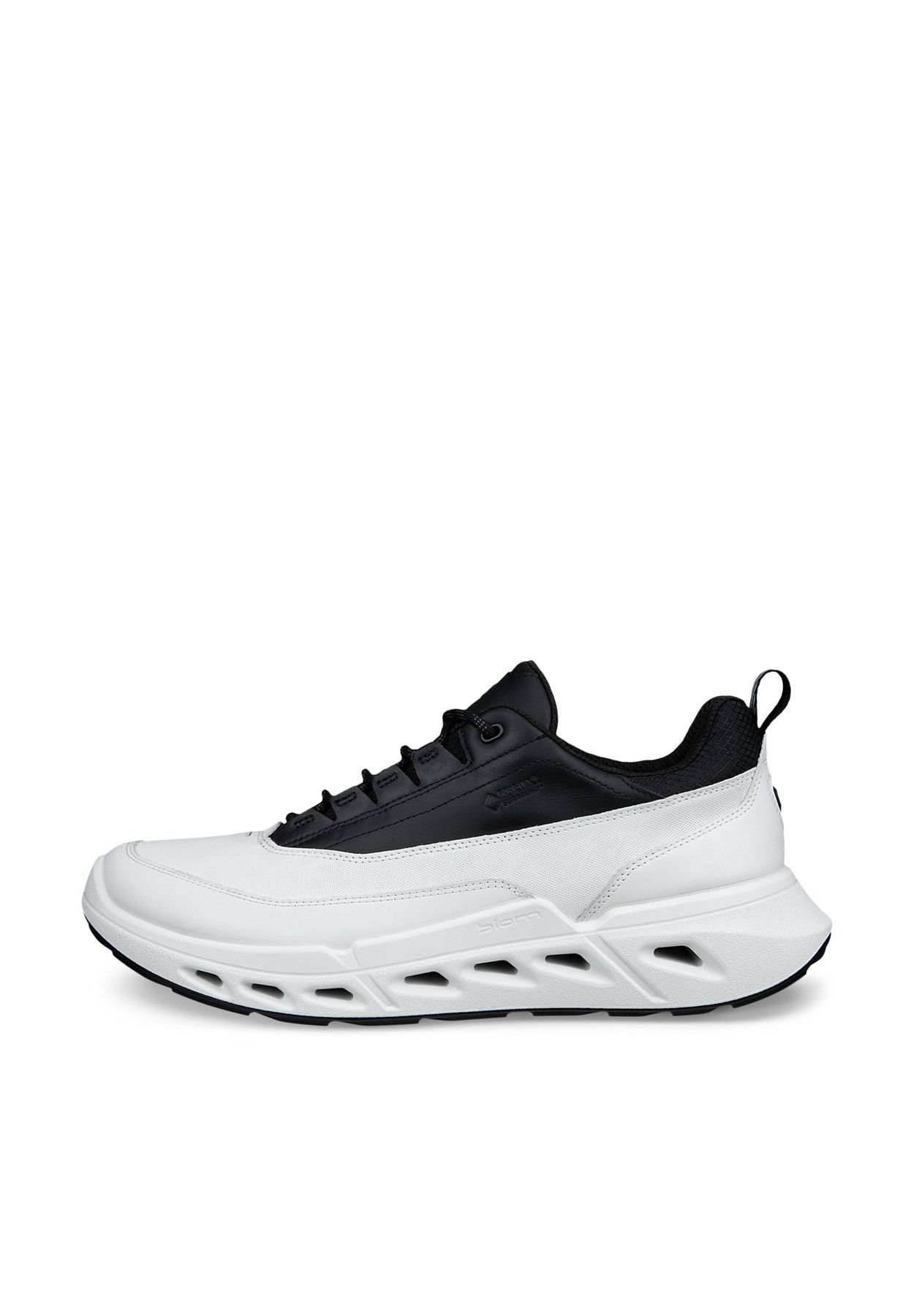 BIOM 720