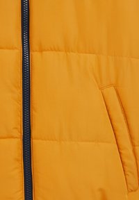 WE Fashion Ulkoilutakki - yellow