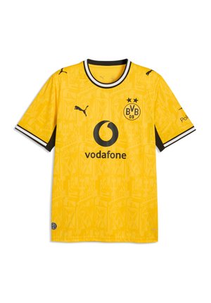 Junger Mann, der ein gelbes Borussia Dortmund Fußballtrikot, schwarze Hose, Mütze trägt und einen passenden BVB-Schal hält, steht vor grauem Hintergrund.