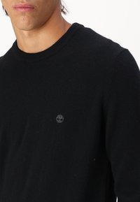 Schwarzer Strickpullover mit Rundhalsausschnitt, aus weichem Material gefertigt. Verfügt über ein kleines, gesticktes Logo auf der Brust.