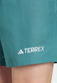 Teal shorts made from lightweight material featuring a flat front, side seam, and a white "TERREX" logo near the hem.