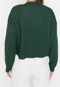 Zielony sweter wykonany na drutach o luźnym kroju, z białymi ściągaczami u dołu i przy mankietach. Tył swetra ma gładki design bez widocznych zapięć.