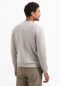 Hellgrauer Pullover mit rundem Ausschnitt, langen Ärmeln und gerippten Bündchen. Weicher Stoff mit schlichtem Design, Rückansicht, getragen zu beigen Hosen.