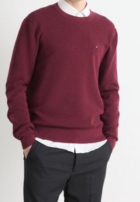 Pull en tricot bordeaux avec un col rond, tissu texturé et un petit détail logo, porté par-dessus une chemise blanche à col et un pantalon noir.