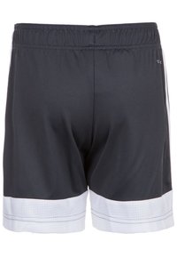 Zwarte sportshorts met een elastische tailleband en witte mesh accenten aan de zoom, vervaardigd uit een gladde, lichte stof.