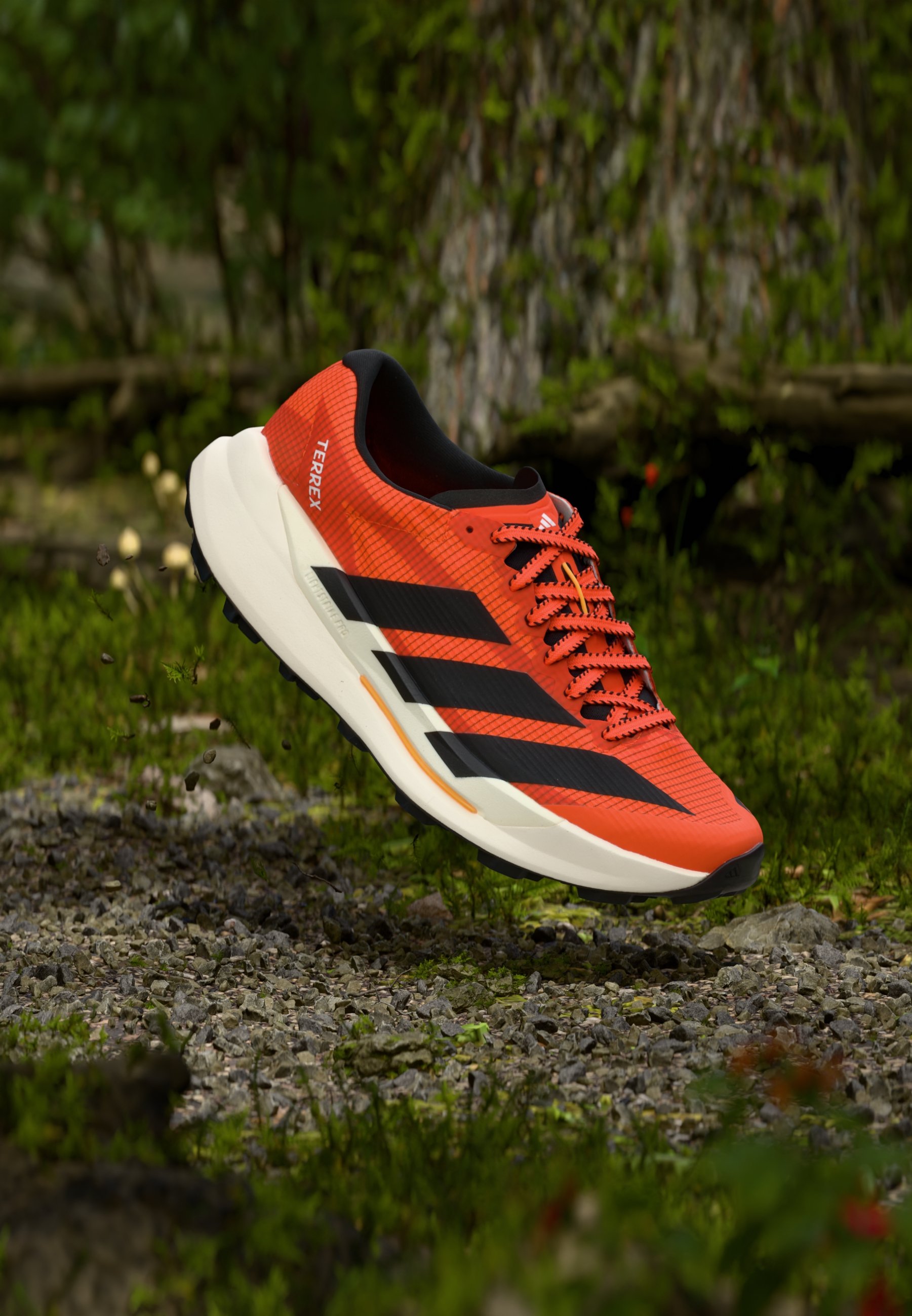 adidas Terrex AGRAVIC TT - Zapatillas de trail running - impact