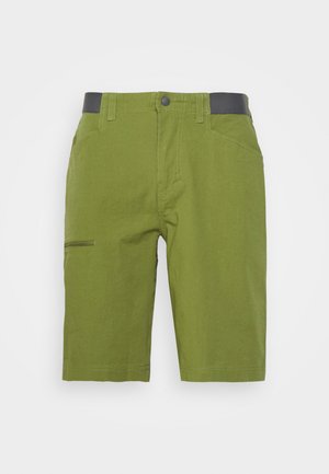 VENGA ROCK SHORTS - Träningsshorts - palo green