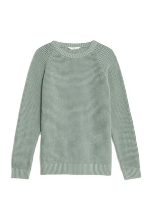 CREW NECK - Stickad tröja - willow