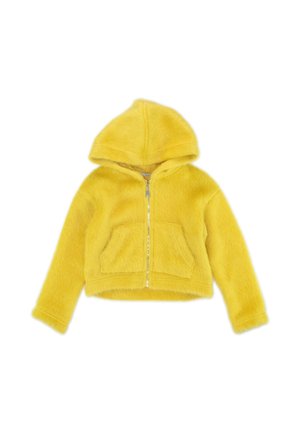 Winterjacke - verde