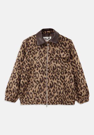 BELINE - Overgangsjakke - brown