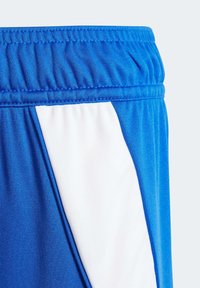 adidas Performance TIRO 24 - Kurze Sporthose - royal blue   white