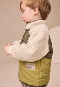 Next REGULAR FIT - COLOURBLOCK - Manteau d'hiver - green borg nylon