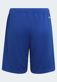 adidas Performance ENTRADA - Kurze Sporthose - royal blue