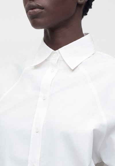 Gros plan d'une personne portant une chemise blanche impeccable à col pointu, mettant en valeur le haut du torse et le cou.