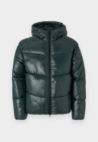 Chaqueta de plumas verde oscuro con acabado brillante, capucha y cremallera de longitud completa. Diseño acolchado con costuras marcadas y un corte relajado.