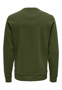 Bluza oliwkowa z okrągłym dekoltem, długimi rękawami oraz ściągaczami na mankietach. Gładka tekstura materiału, jednolity kolor bez widocznych wzorów.