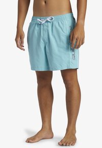 Quiksilver EVERYDAY VERT VOLLEY 16 - Bañador corto - bha