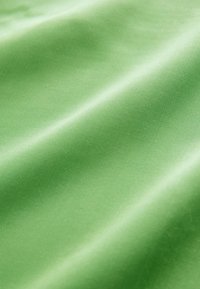 Green fabric with a smooth texture, slightly shiny surface, and subtle sheen. Shows gentle folds and light reflections across the material.