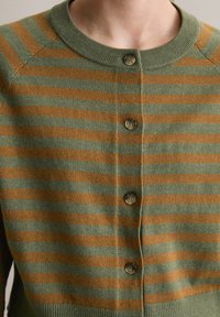 Close-up van een persoon die een groen-bruine horizontaal gestreepte cardigan draagt met vier knopen aan de voorkant.