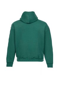 Grøn hætte sweatshirt med en afslappet pasform, ribbestrikkede manchetter og kant. Blød tekstur uden synlige mønstre eller metaldele.