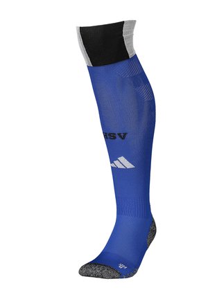 HAMBURGER SV STRUMPF AUSWÄRTS 2025/2026 REPLICAS - NATIONAL - Voetbalshirt - Land - blau