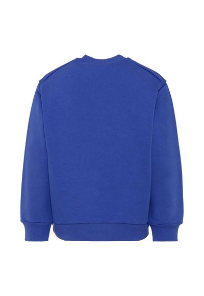 Felpa blu con colletto rotondo, maniche raglan, polsini e orlo a costine. Texture liscia senza motivi o dettagli visibili.