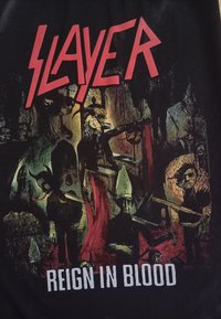 T-shirt nera con una grafica che presenta il testo "SLAYER" in rosso e "REIGN IN BLOOD" in bianco, raffigurante immagini oscure e surreali.