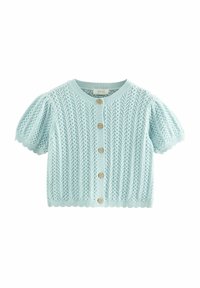 Helles blauer Strickcardigan mit kurzen Puffärmeln, einem strukturierten Muster und Holzkknöpfen auf der Vorderseite mit gewellten Saumkanten.