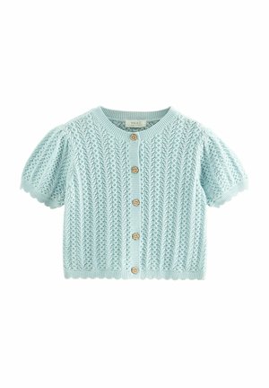 Helles blauer Strickcardigan mit kurzen Puffärmeln, einem strukturierten Muster und Holzkknöpfen auf der Vorderseite mit gewellten Saumkanten.