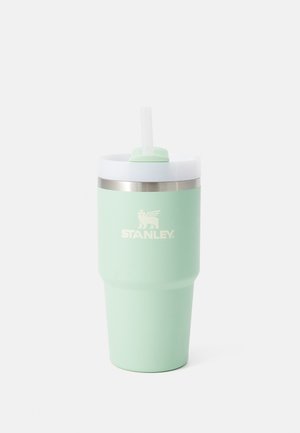 Reusable tumbler in matte mint green with stainless steel accent, white lid, and straw; features "STANLEY" logo in white.