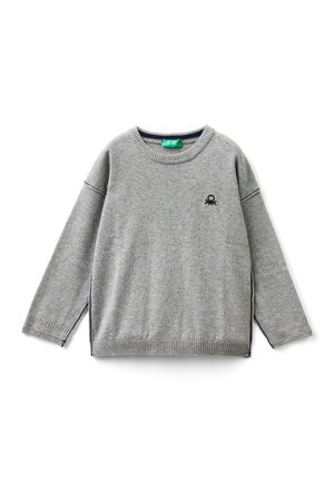 CREW NECK WITH EMBROIDERY - Strickpullover - grey