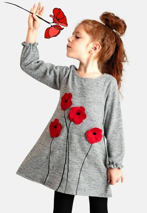 Siva dolga obleka z dolgimi rokavi, okrašena z rdečimi čutenimi cvetnimi aplikacijami in črnimi nitmi, z sproščenim krojem in nabranimi manšetami.